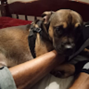 Meet your Posher, Crystal